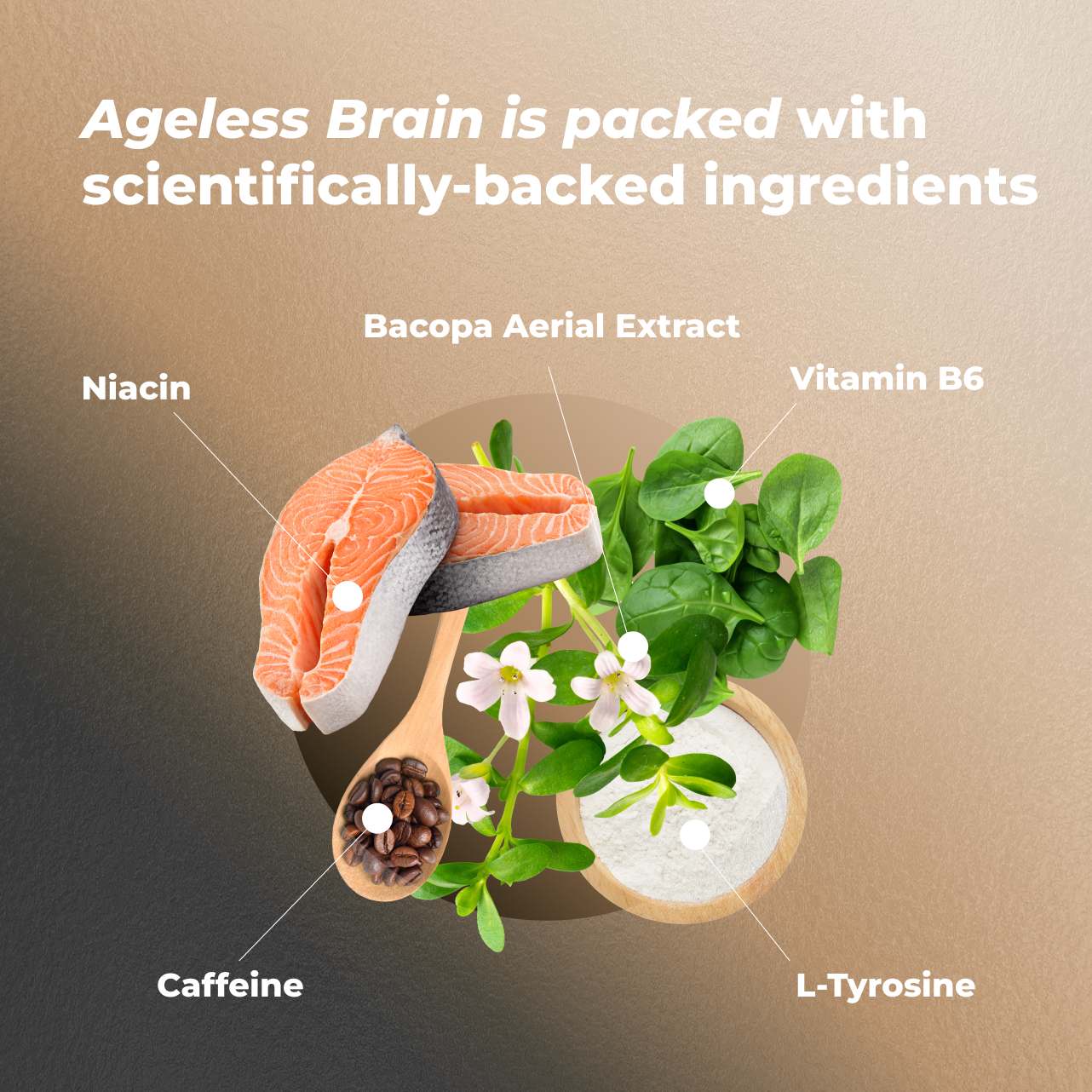 Ageless Brain