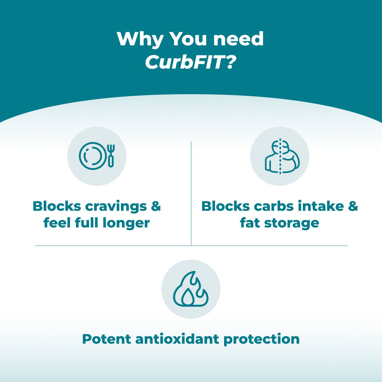 CurbFit